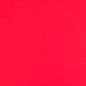 Meet your Posher, Nyla